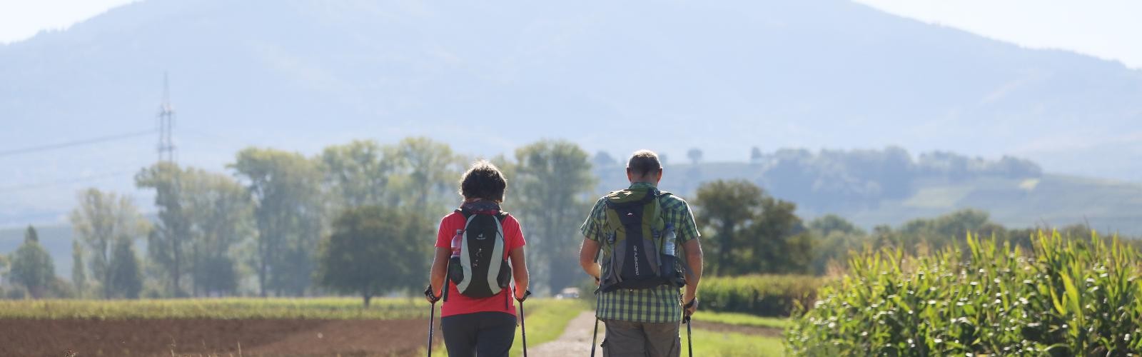 Zwei Wanderer auf einem Schotterweg mit Hügeln im Hintergrund